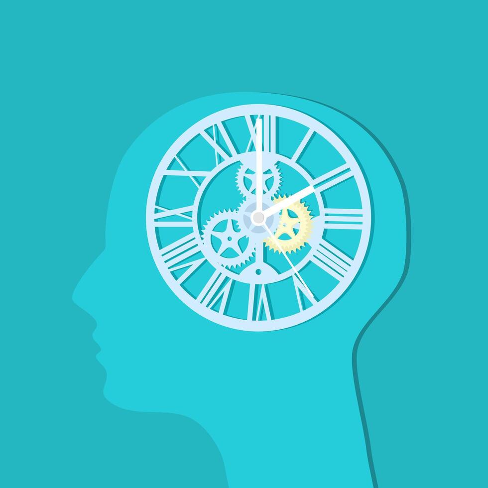 The clock in the human head vector