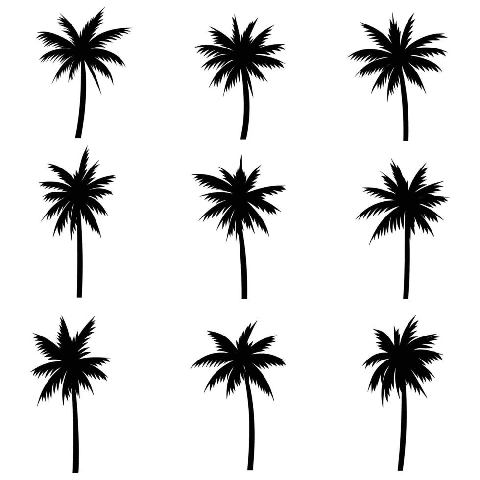 Palm tree coconut silhouette set collection vector