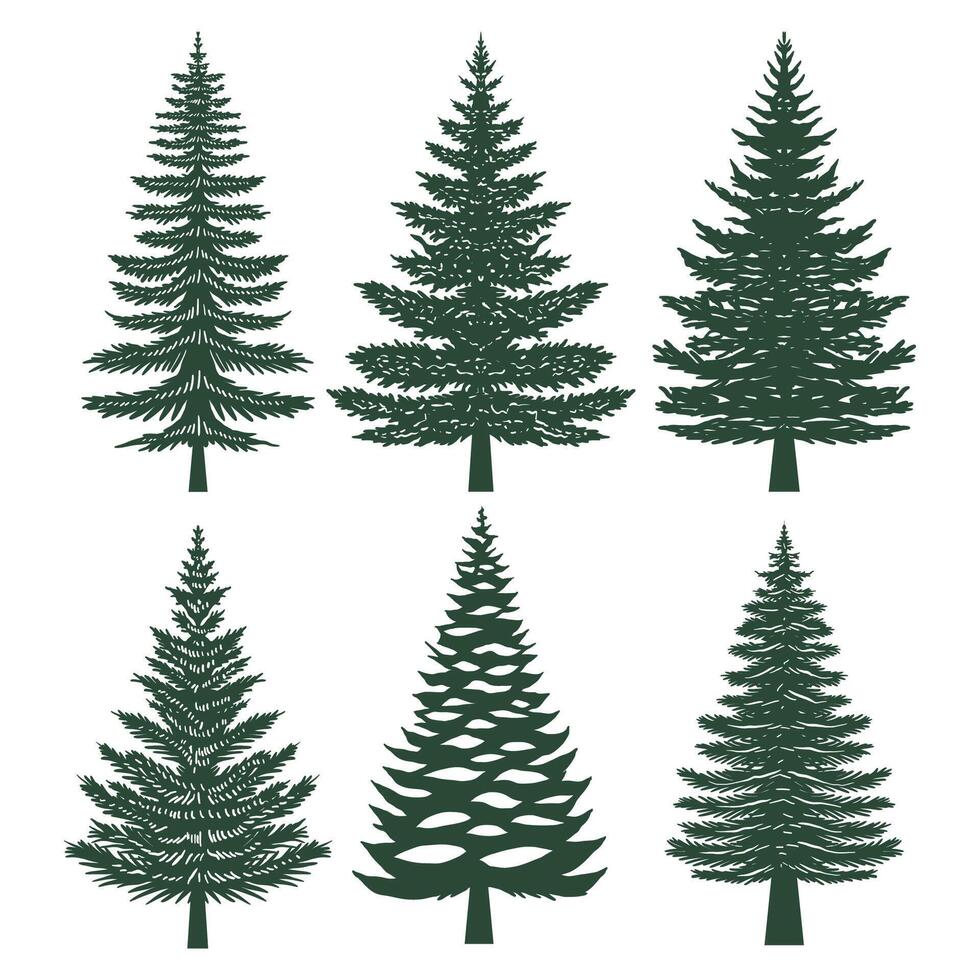 Pine tree silhouette set collection vector