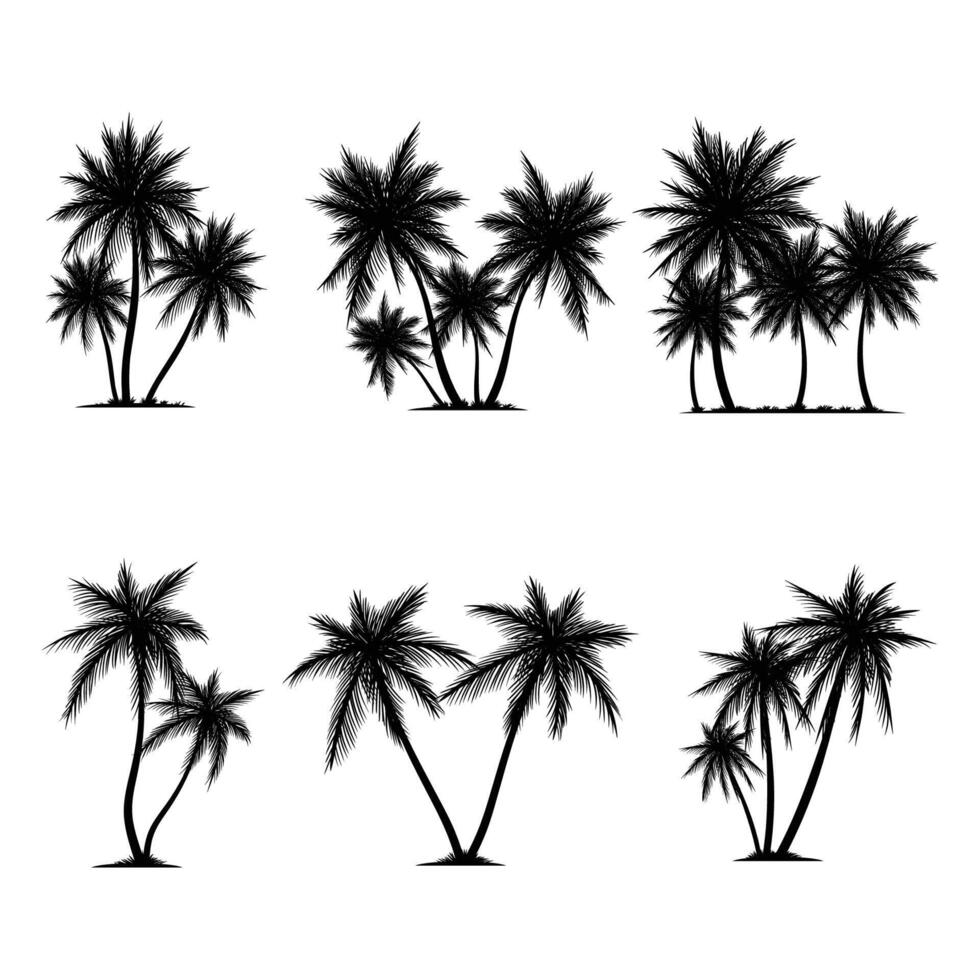 Palm tree coconut silhouette element set collection vector