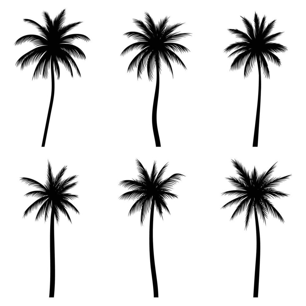 Palm tree coconut silhouette set collection vector
