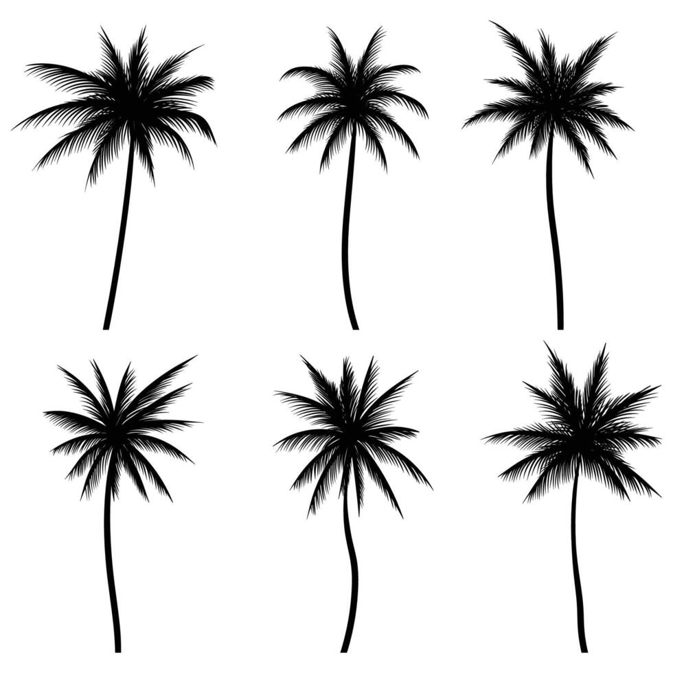 Palm tree coconut silhouette set collection vector