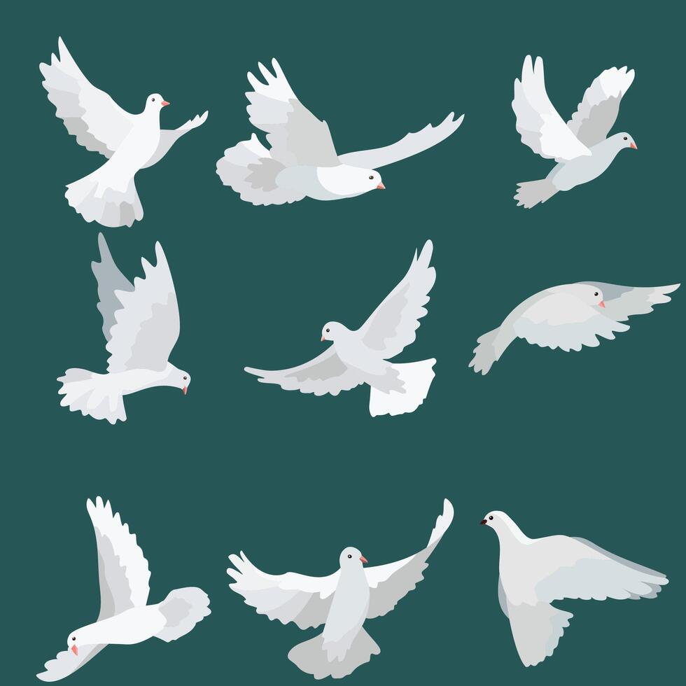 White dove transparent set with peace symbols realistic isolated vector illustration