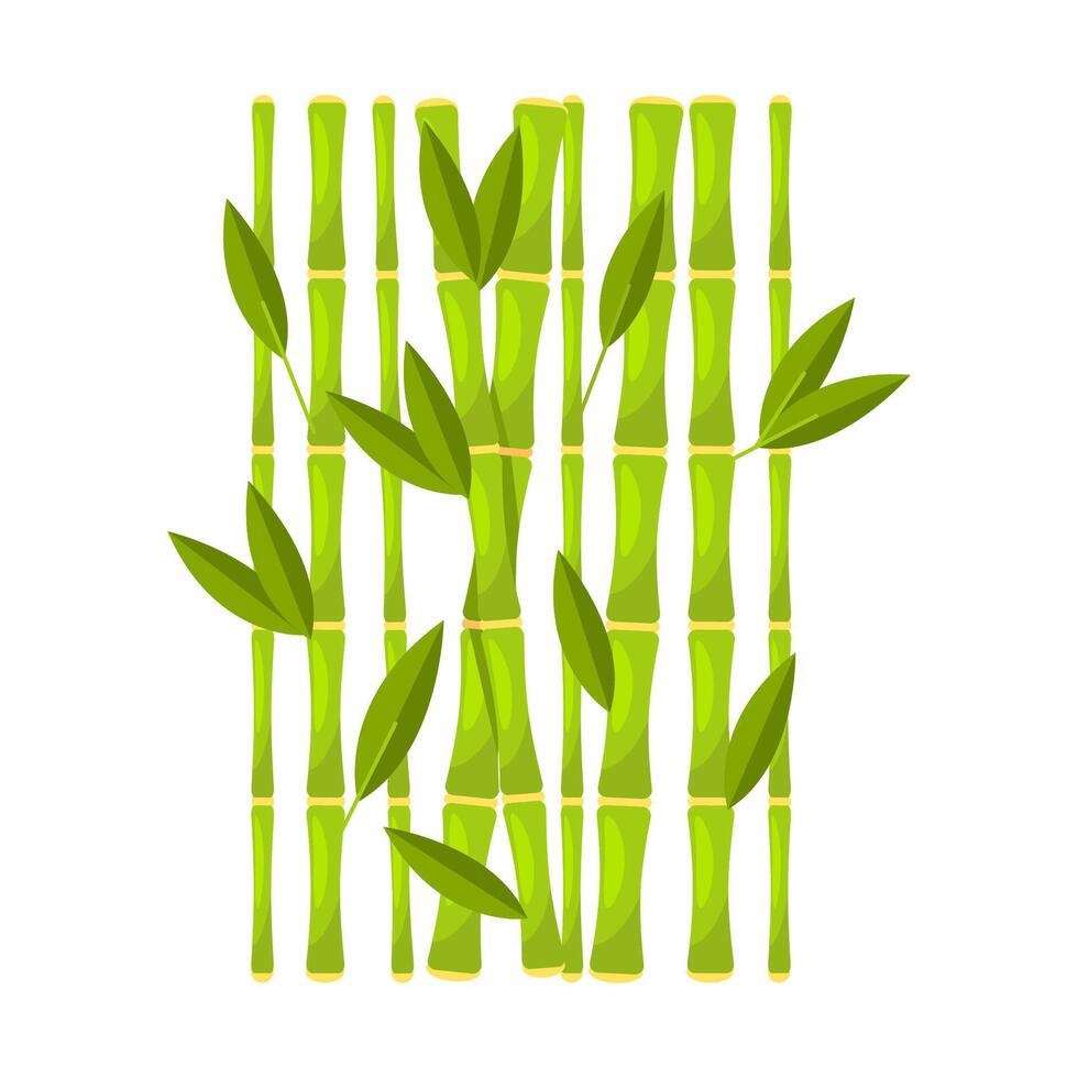 Green Bamboo with Leave. Vector illustration