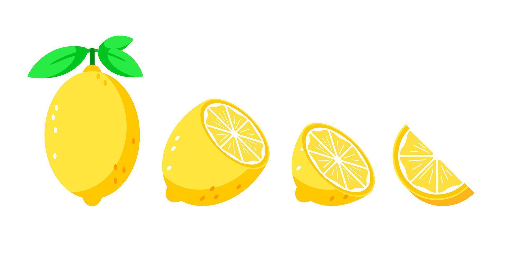 Set depicting whole and cut lemons with leaves, ideal for culinary and health themes vector