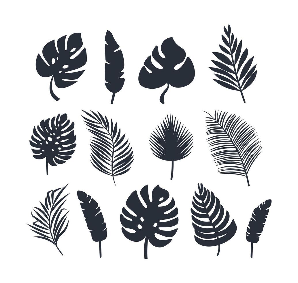 Collection of tropical plant leaf silhouettes, featuring a variety of shapes and sizes, ideal for botanical themes vector