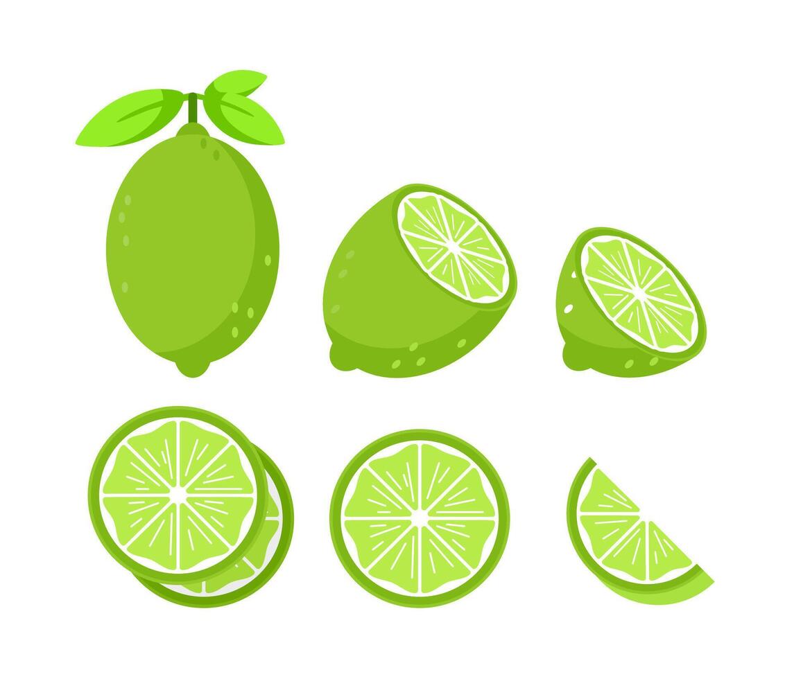 Set featuring whole and sliced lime fruits with leaves and flowers vector