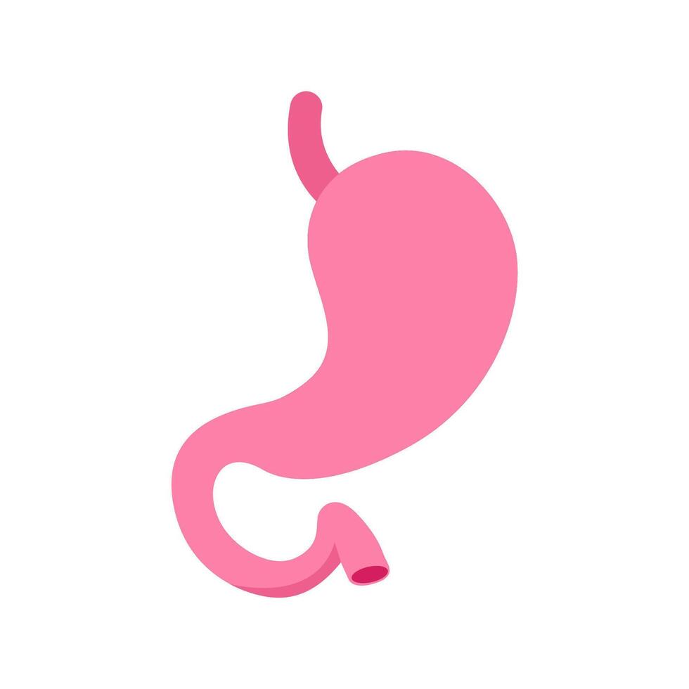 Set of stylized stomach icons in shades of pink, depicting various states of stomach health and conditions vector
