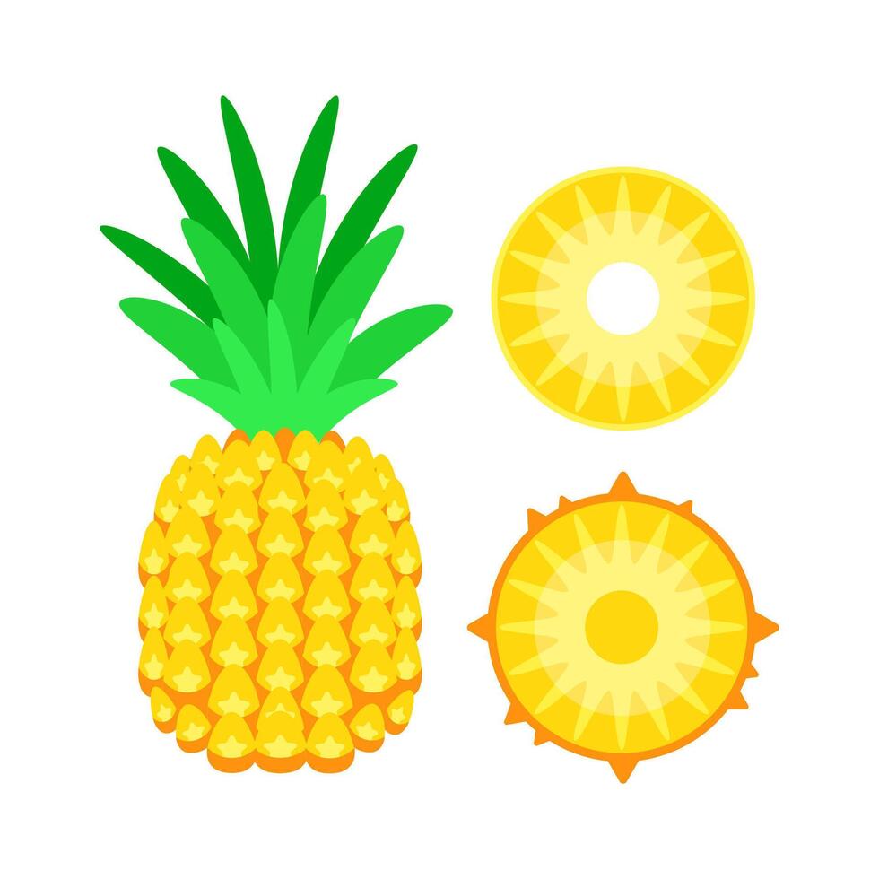 Bright illustration of a whole pineapple beside its cross-section and a round slice vector