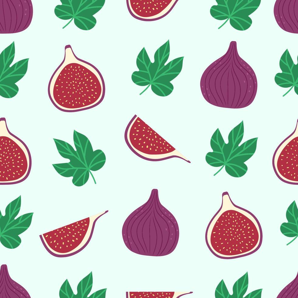 Seamless pattern, background with figs whole and slices. Hand drawn exotic fruit for fabric print. vector