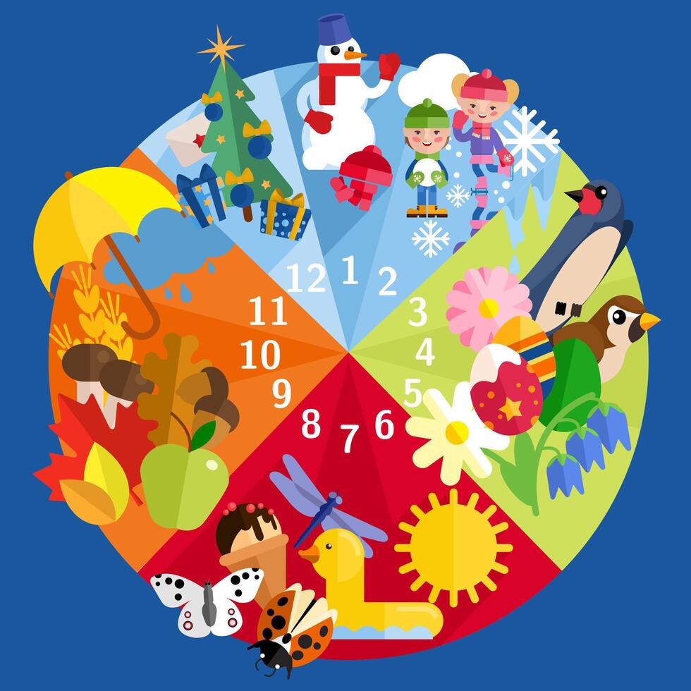 Seasons for children Illustrator Artwork vector