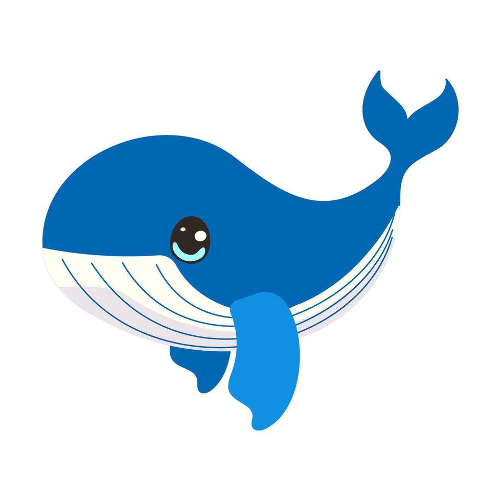 Vector cartoon illustration with cute whale