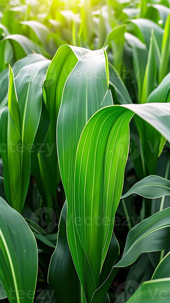 AI generated Sunlit Field of Green Leaves. Generative AI. photo