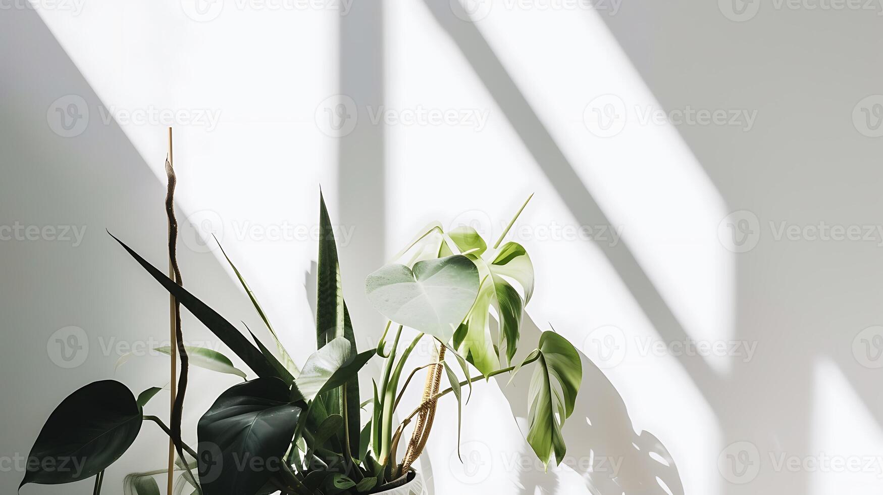 AI generated Potted Plant on Table. Generative AI. photo