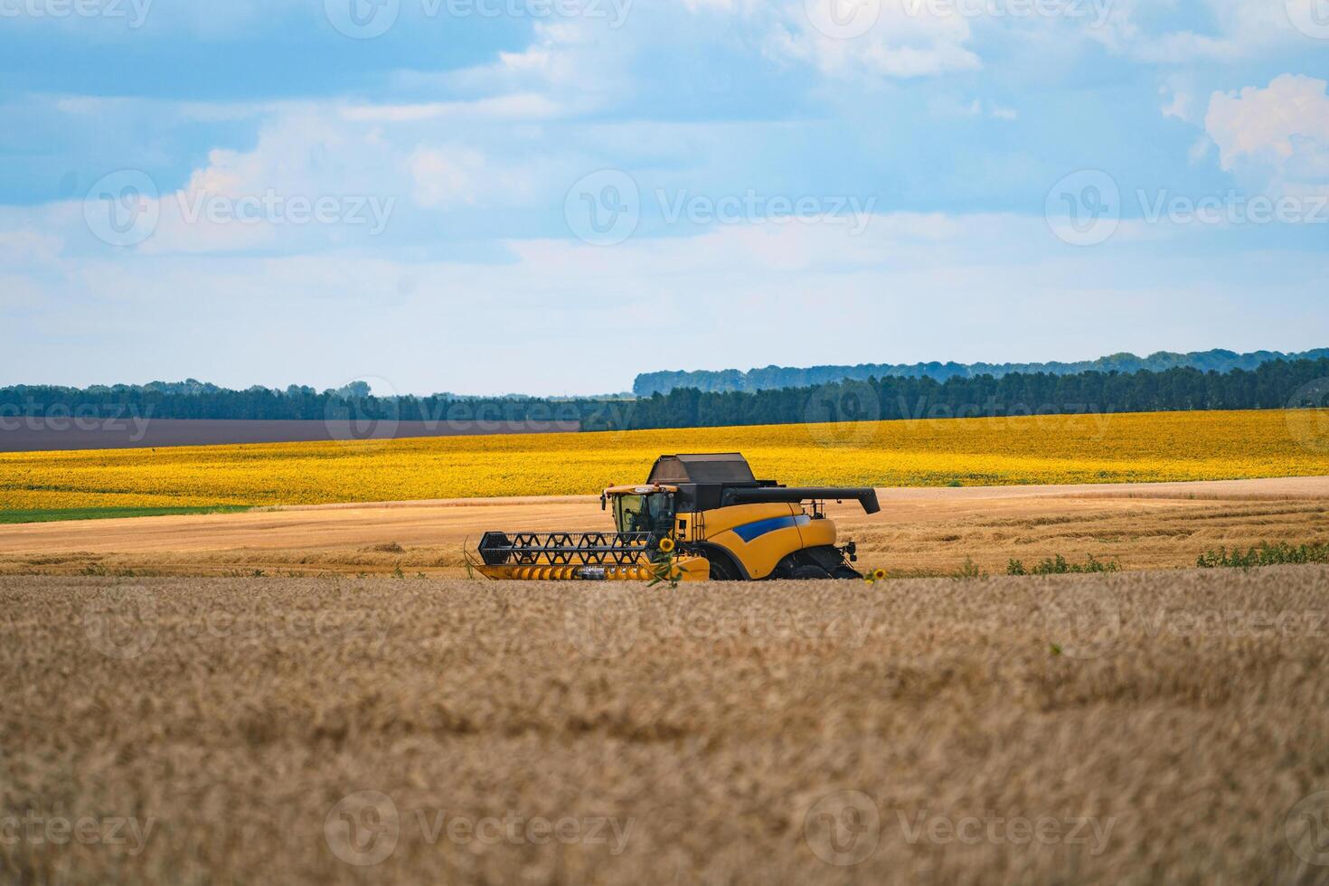 Grain harvesting equipment in the field. Agricultural sector. Harvesting is the process of gathering a ripe crop from the fields. photo