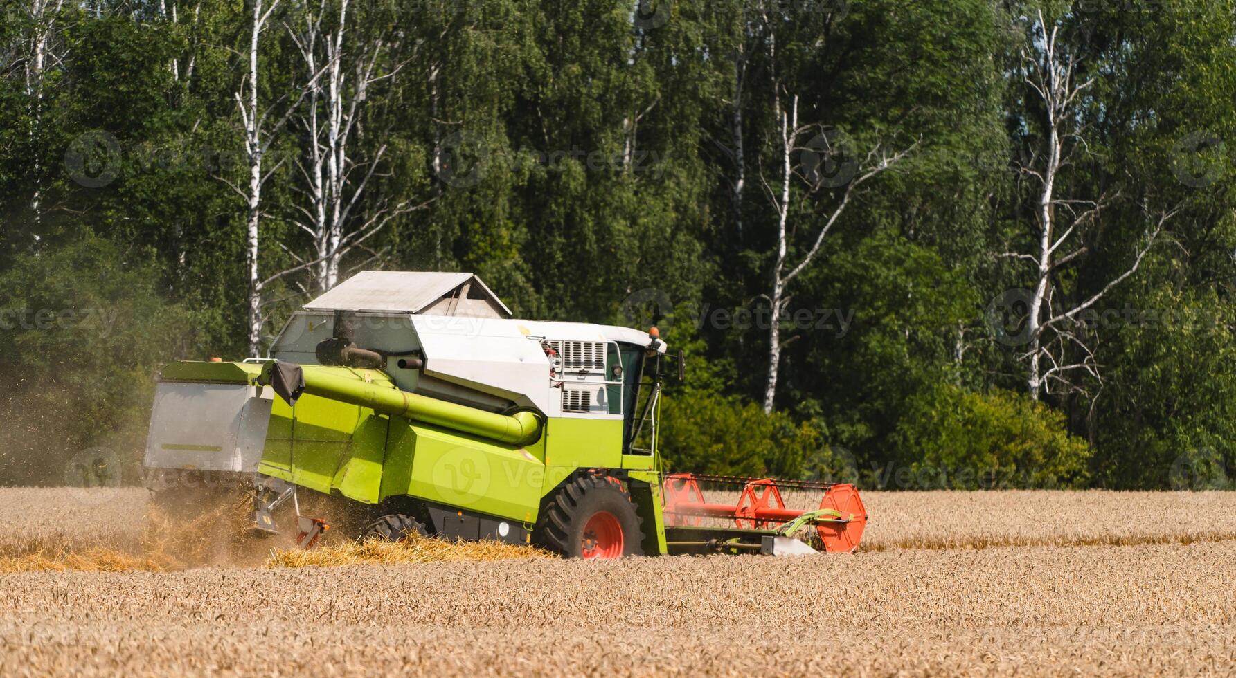 Combine harvester in action on wheat field. Process of gathering ripe crop from the fields. photo