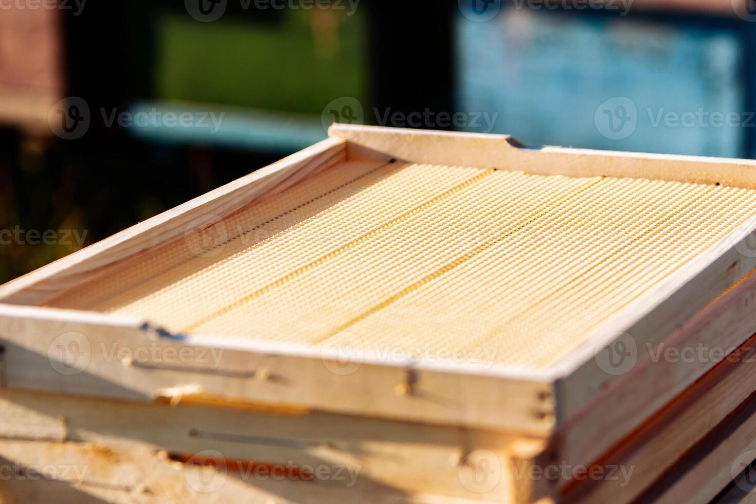 Frame for honeycomb of bees. Beeswax. Wax base for honey bee rebuilding on a white background. Honeycombs. photo