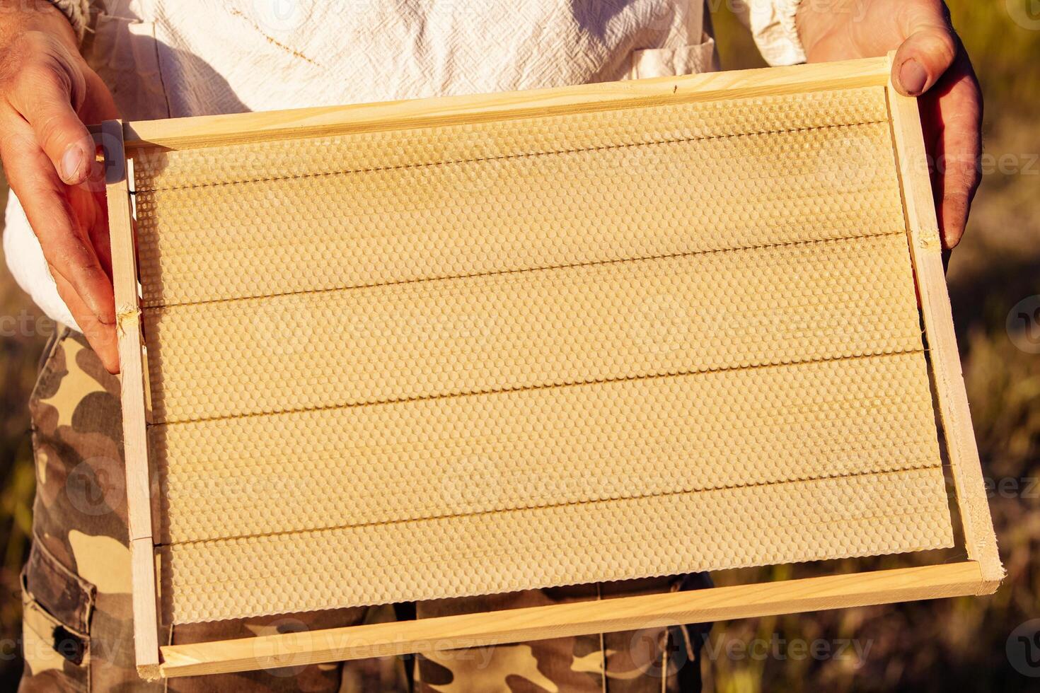 Frames of a bee hive. Harvesting the honey in the apiary. Healthy eating. Honeycomb photo