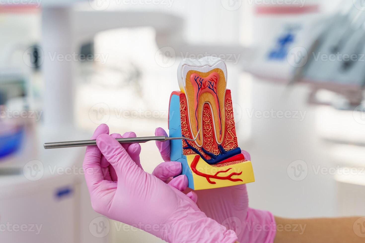 Teeth model on hand on blurred background. Plastic teeth in one row with visible connectors. Human jaw for dentistry training. photo