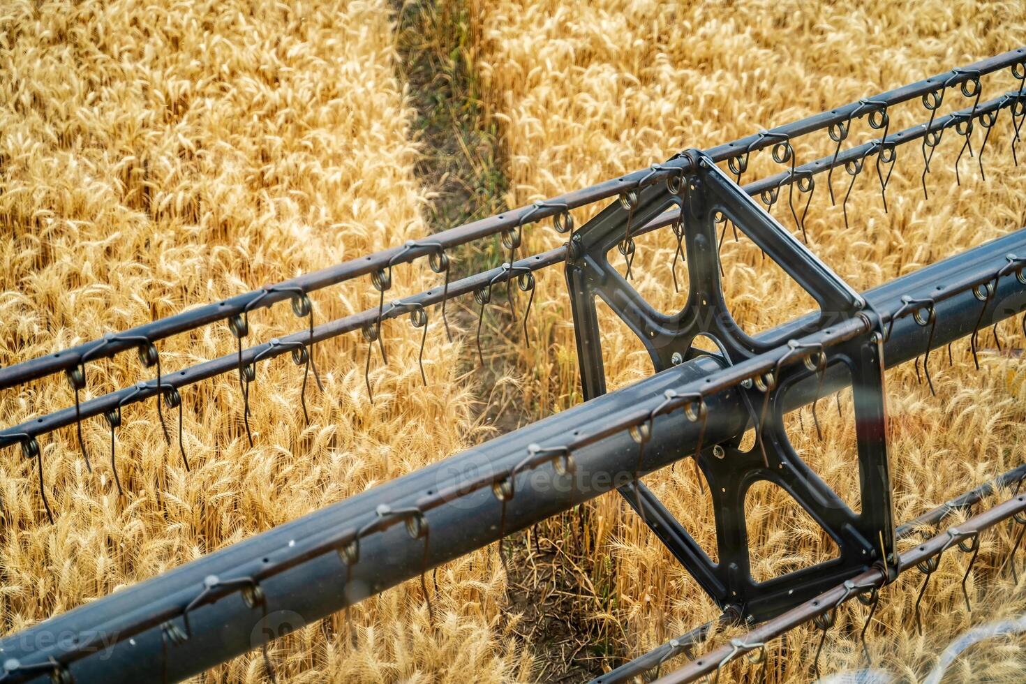 Large combine reaper above the wheat. Big harvest reaper working in field. photo