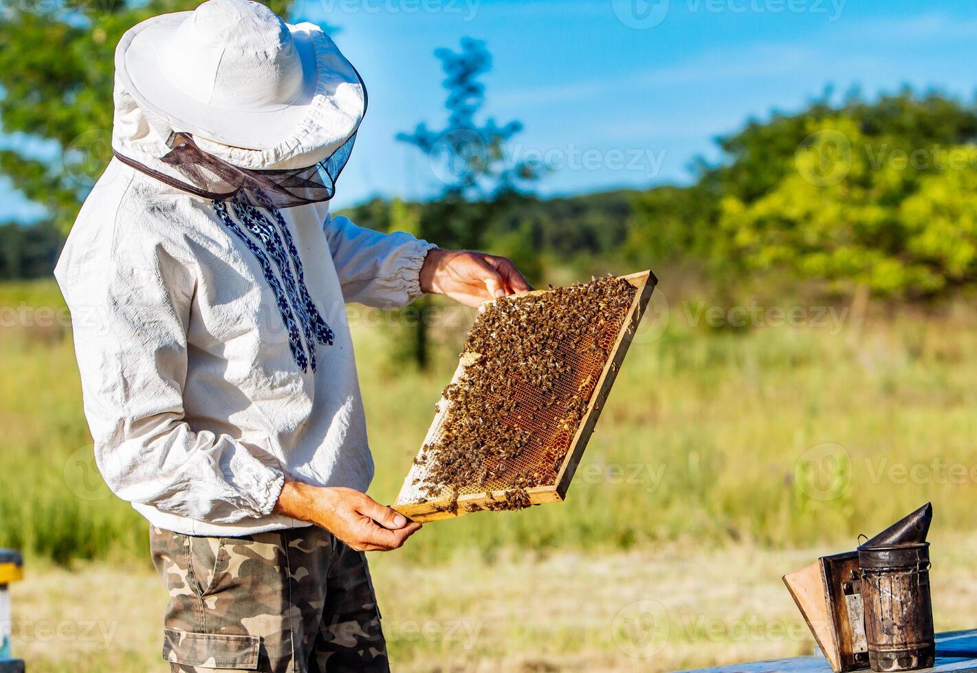 Beekeeper working collect honey. Beekeeping concept photo