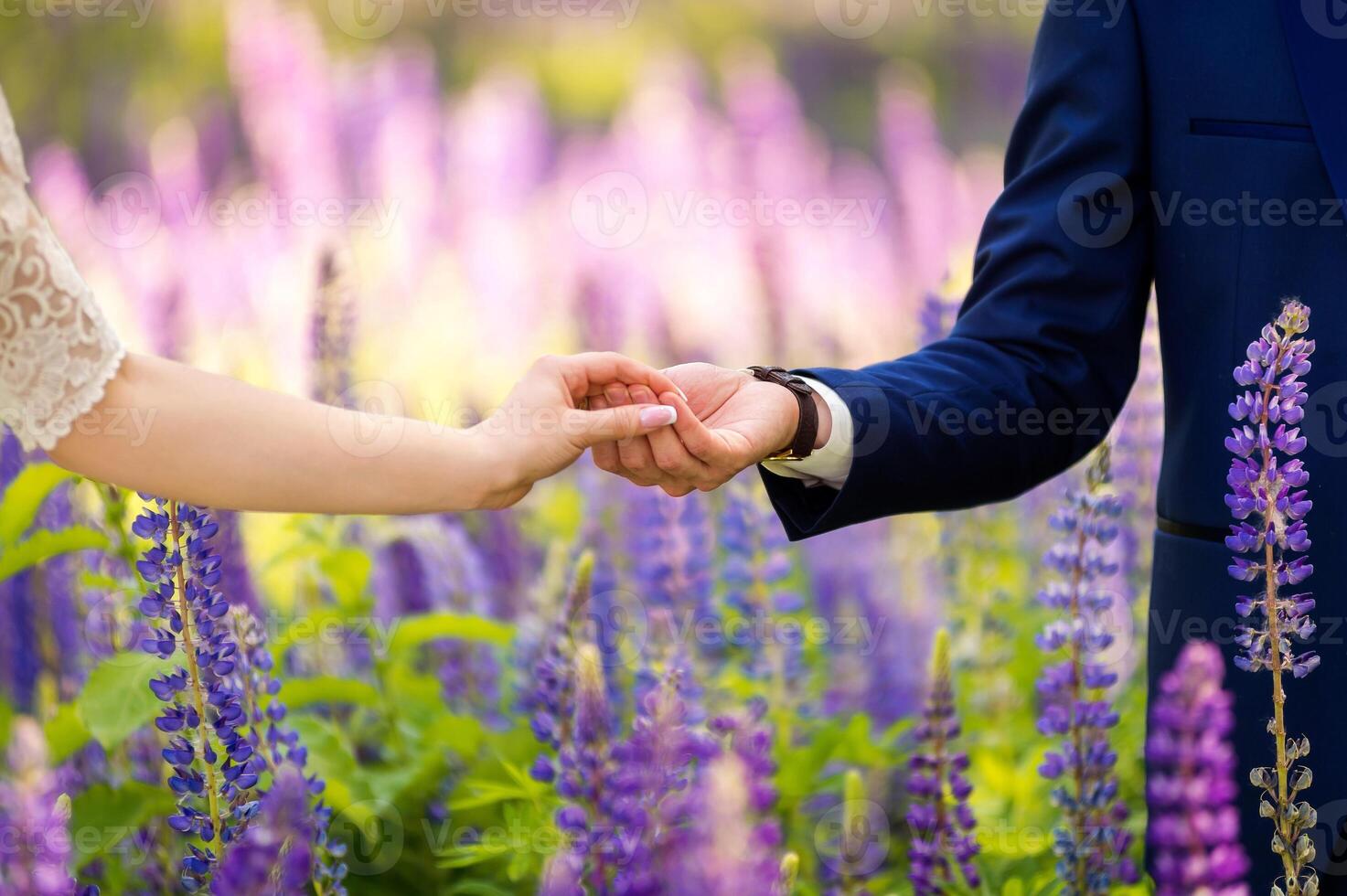 manos de un novia y novio en Boda día en el antecedentes de lavanda campo. joven Pareja en amor disfruta el momento de felicidad en verano entre púrpura flores foto