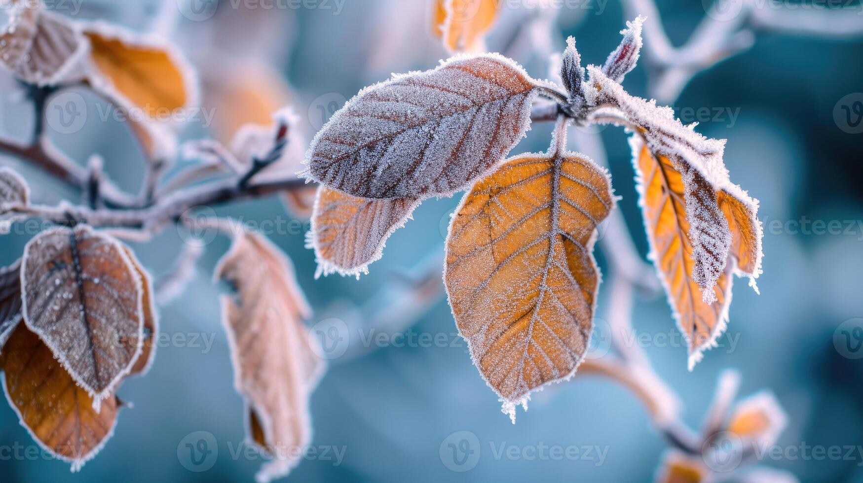 AI generated Winter's touch adorns tree leaves in frost, a delicate icy elegance emerges, Ai Generated. photo