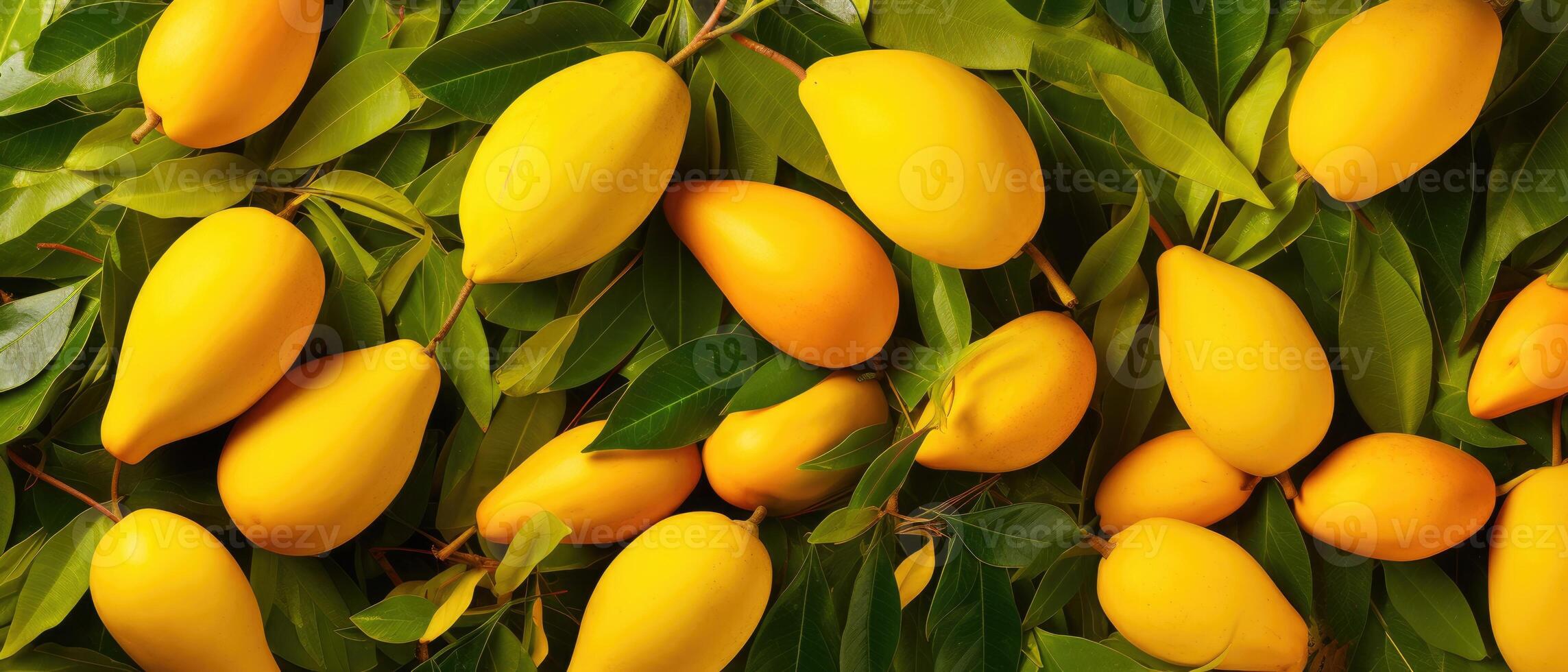 AI generated Wide panoramic banner featuring creatively arranged summer mango fruits, vibrant and inviting, Ai Generated. photo