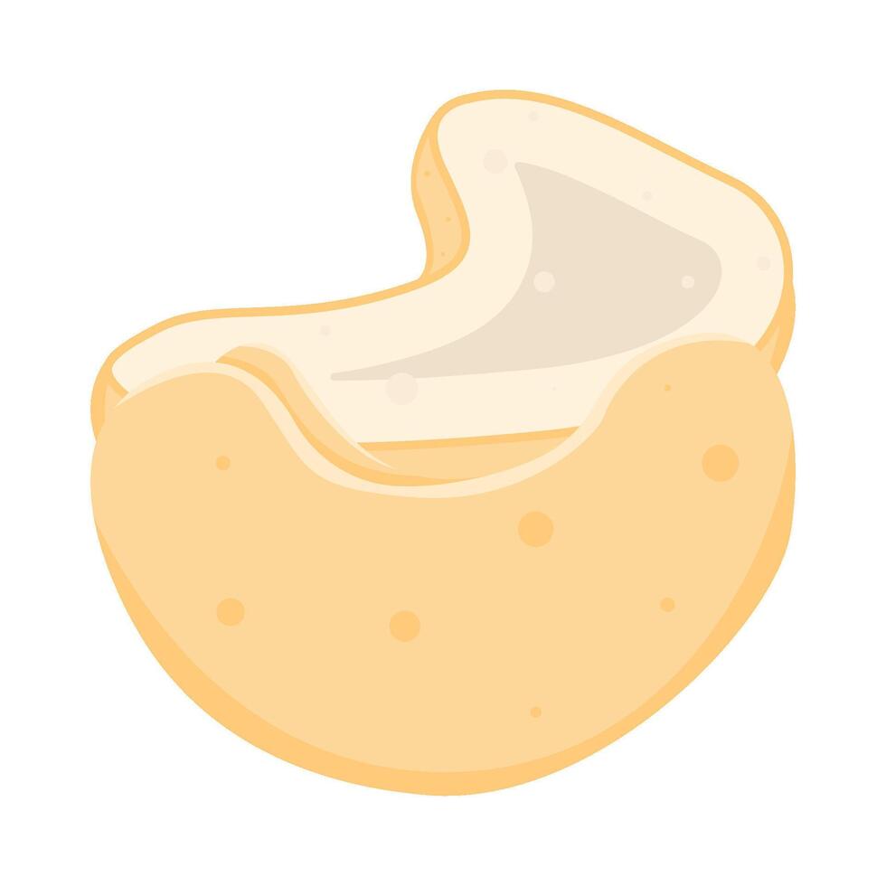 cashew nut illustration vector