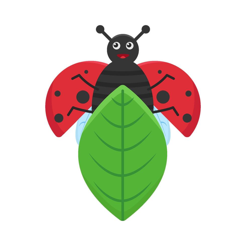 Illustration of ladybug vector