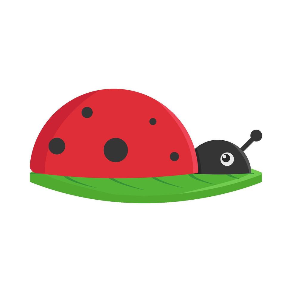 Illustration of ladybug vector