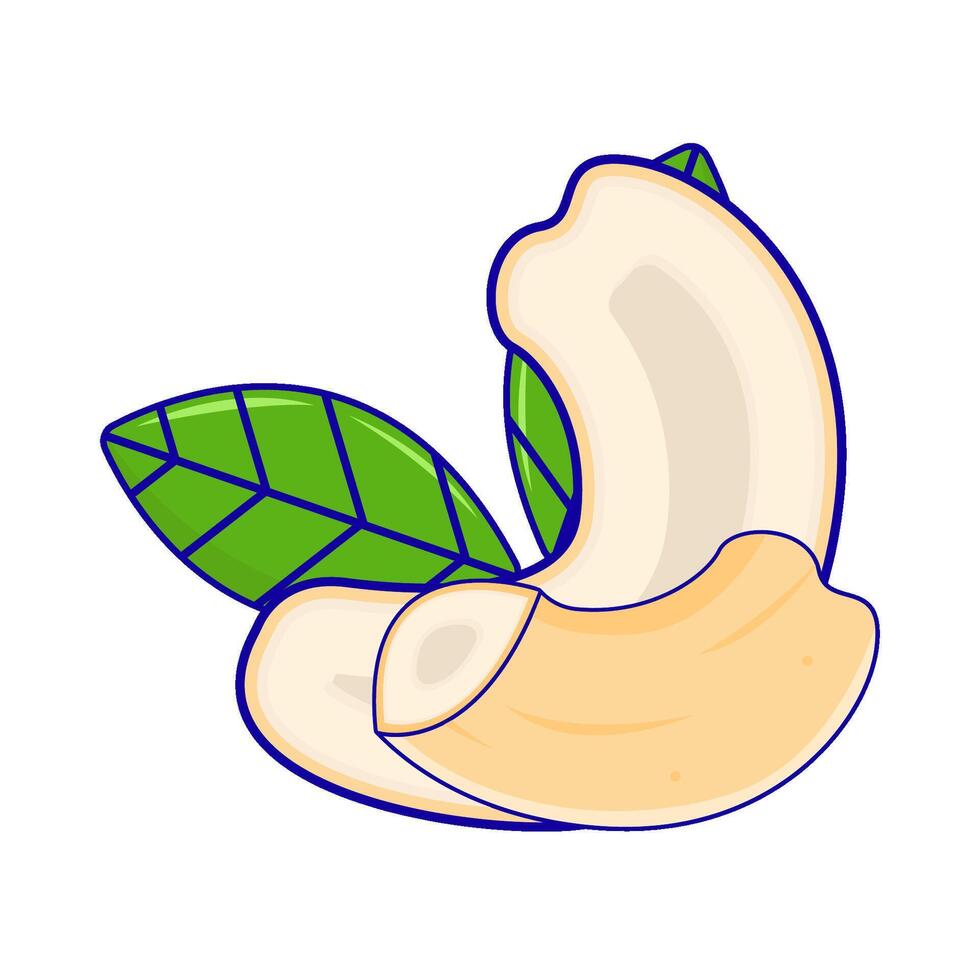 cashew nuts with leaf illustration vector