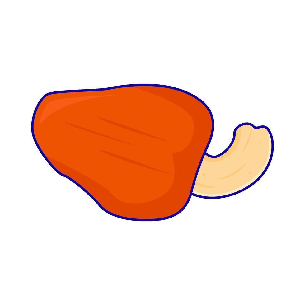 cashew fruit illustration vector