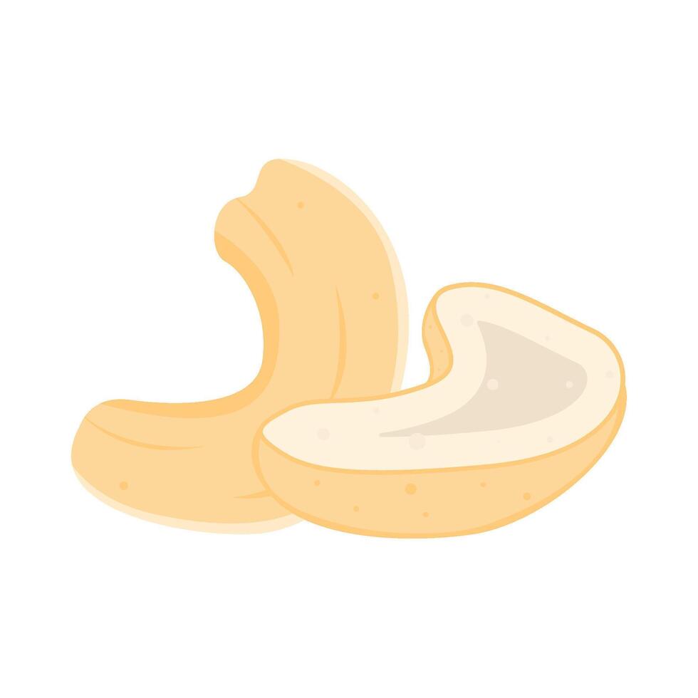 cashew nut illustration vector
