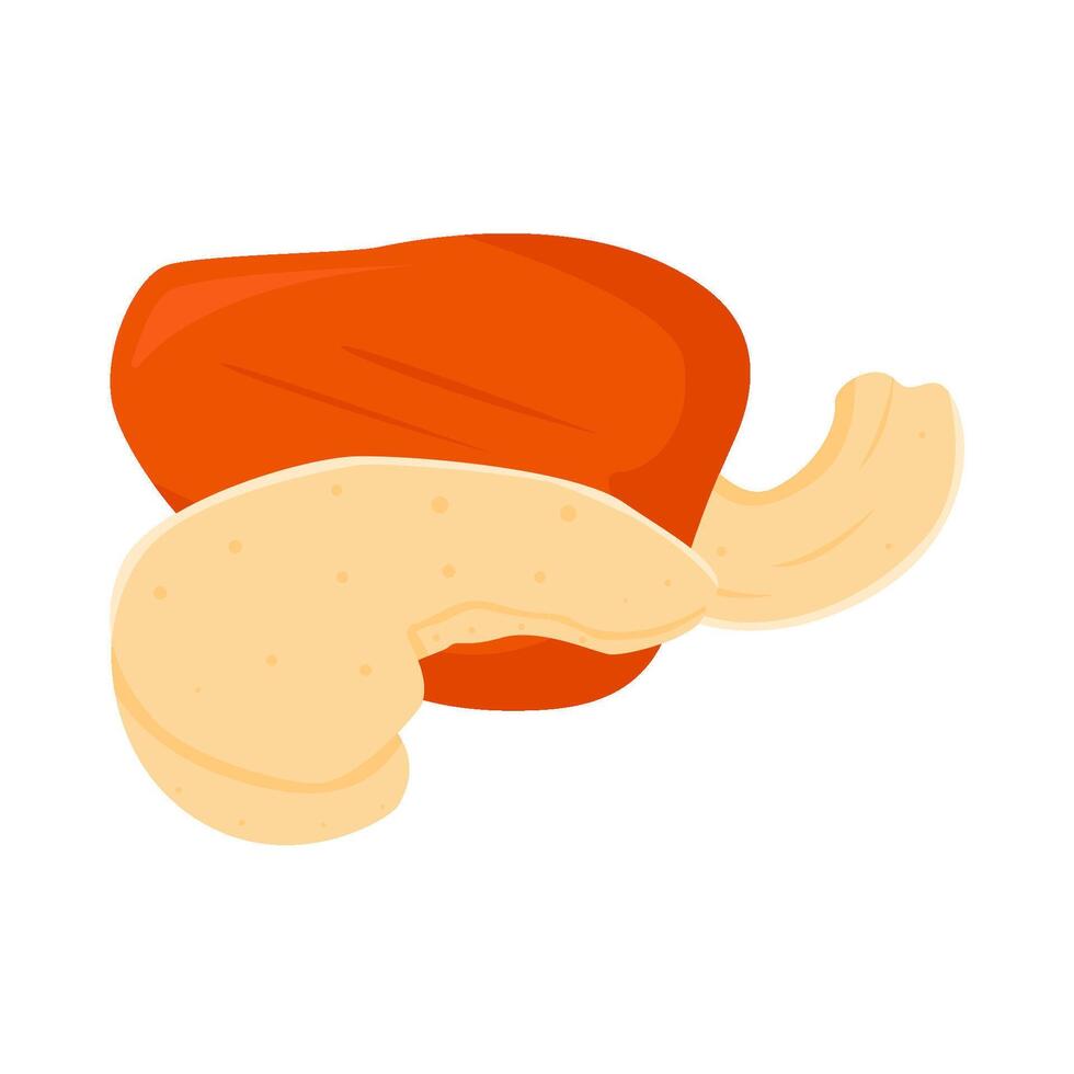 cashew fruit with cashew nuts illustration vector