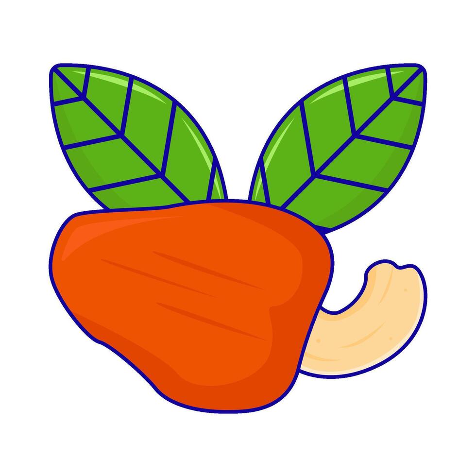 cashew fruit with cashew nuts illustration vector