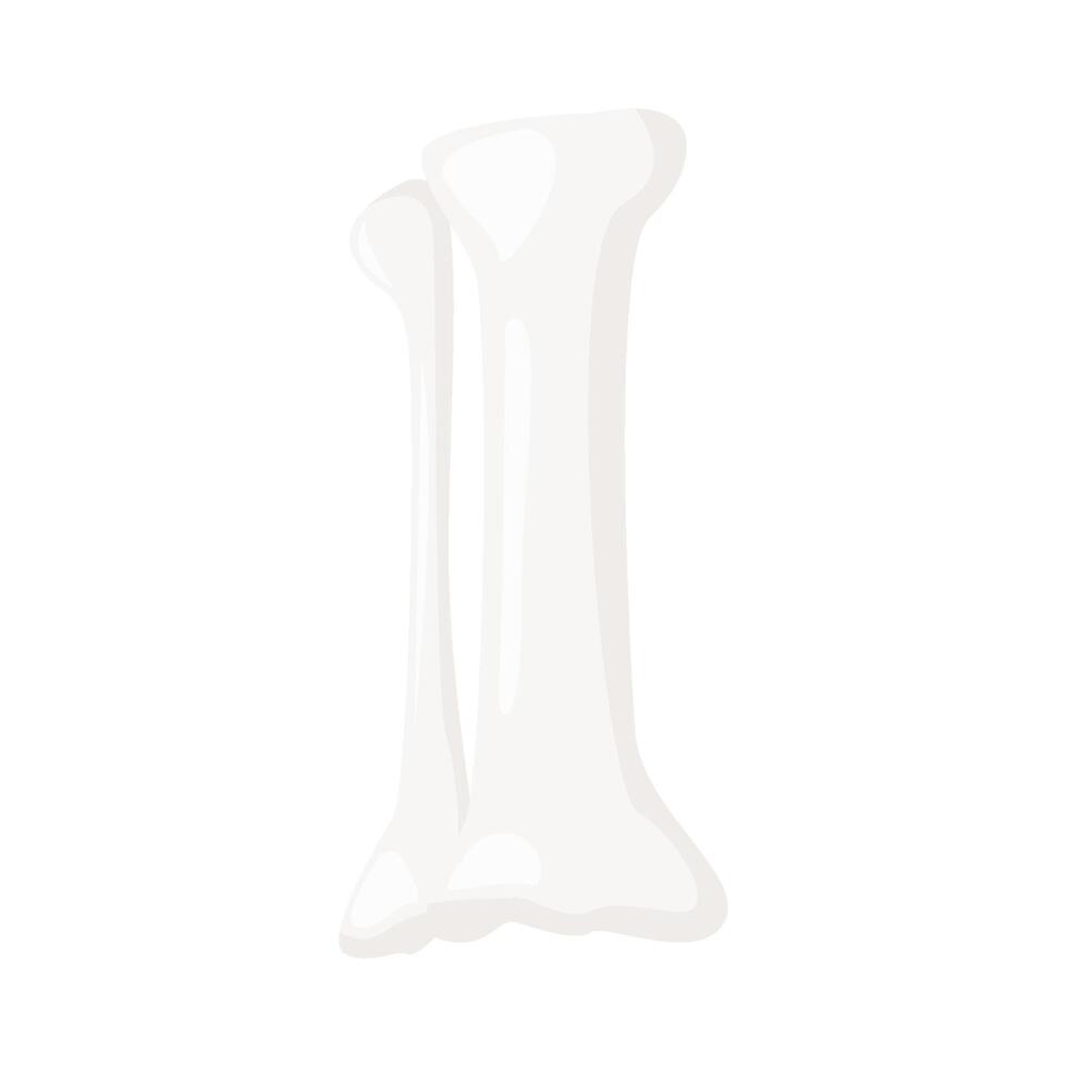 bone human illustration vector