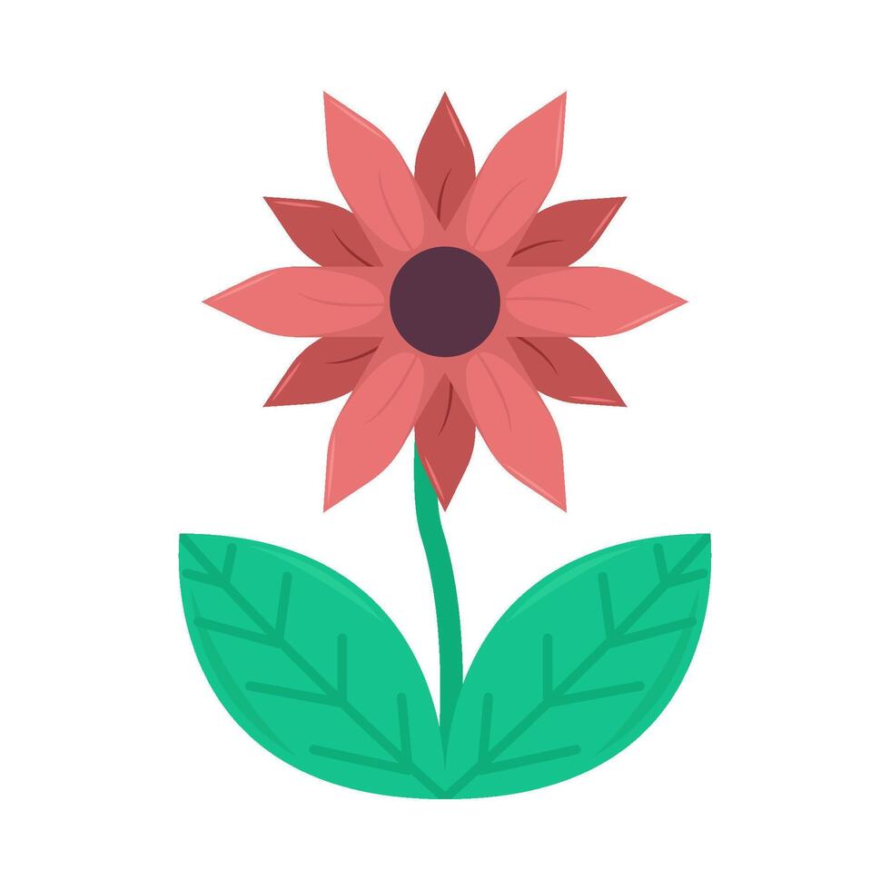 flower plant illustration vector