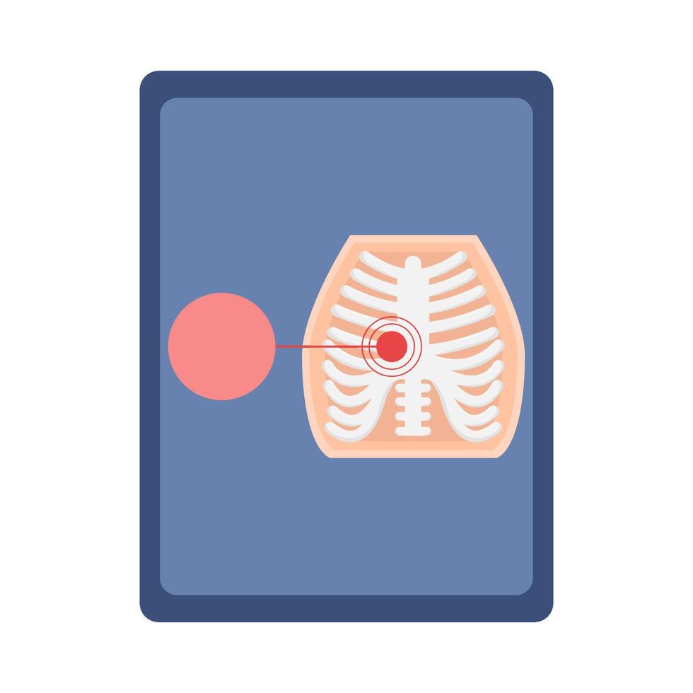 rib bone human illustration vector