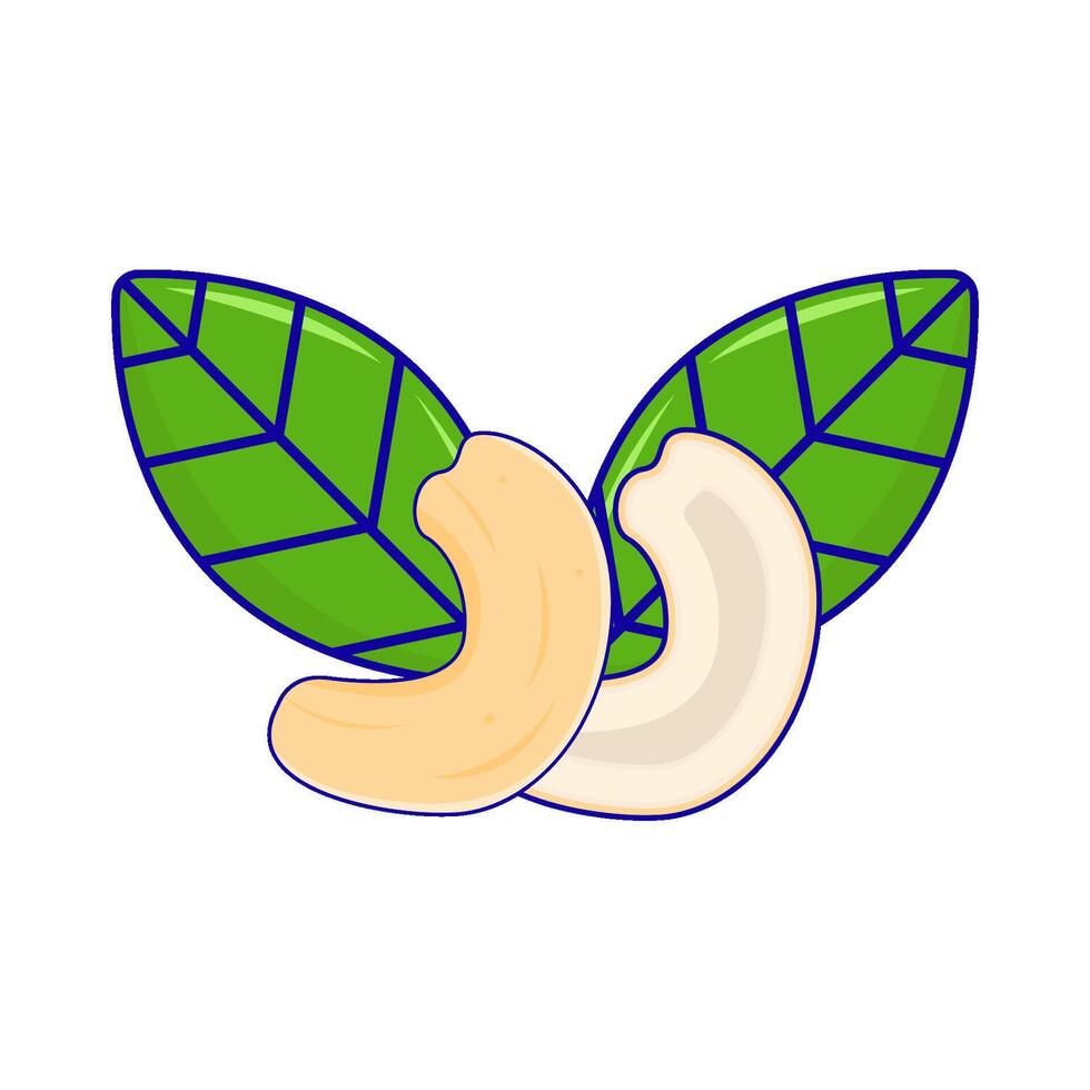 cashew nuts with leaf illustration vector