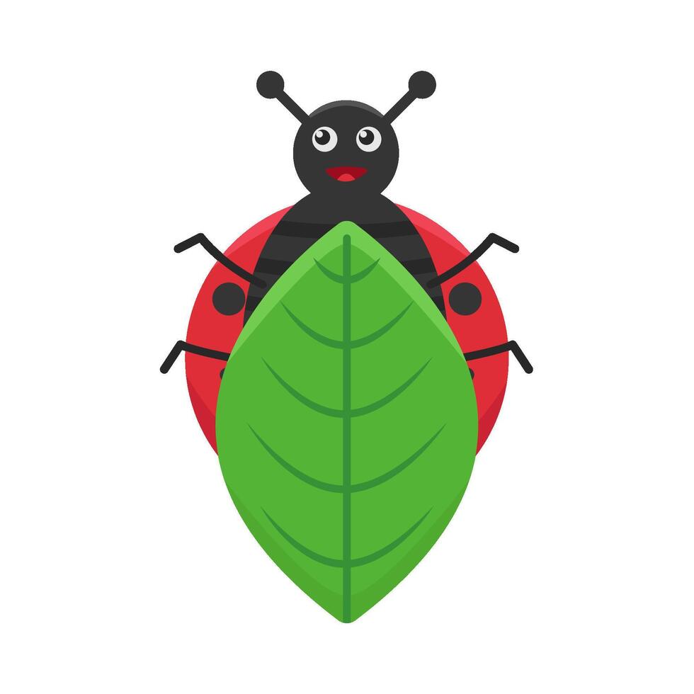 Illustration of ladybug vector