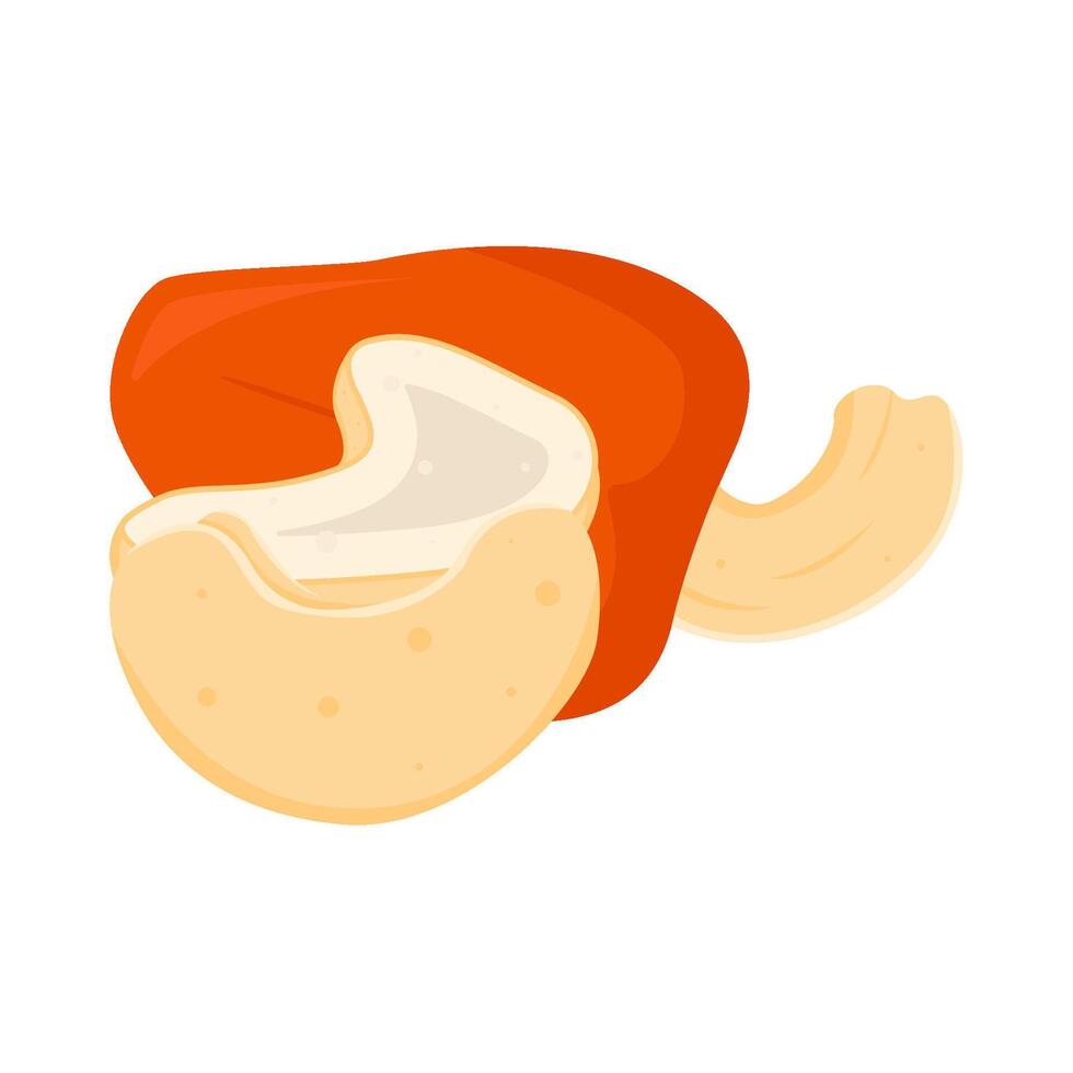 cashew fruit with cashew nuts illustration vector