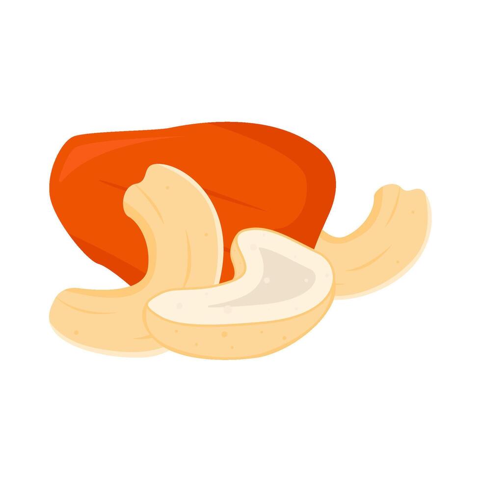 cashew fruit with cashew nuts illustration vector