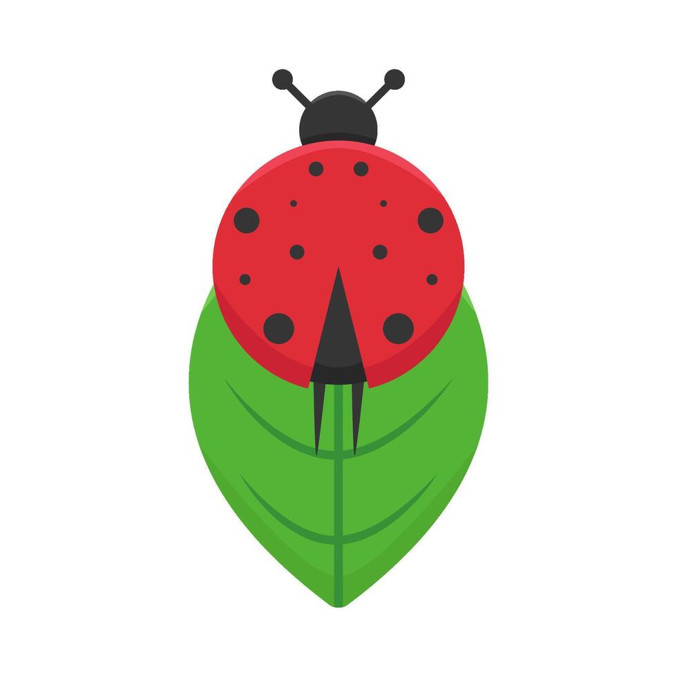 Illustration of ladybug vector