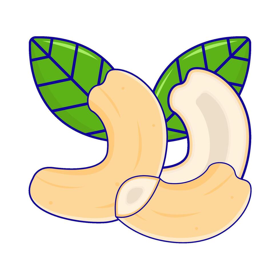 anacardo nueces con hoja ilustración vector