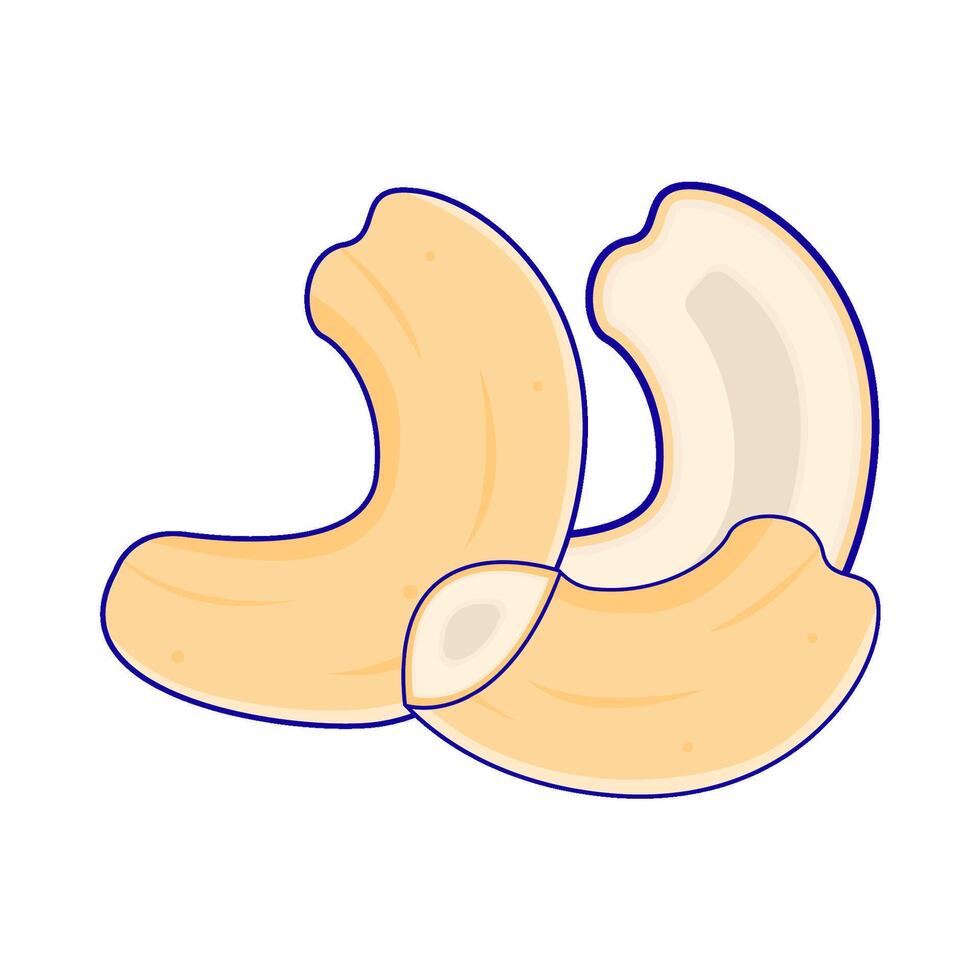 cashew nut illustration vector