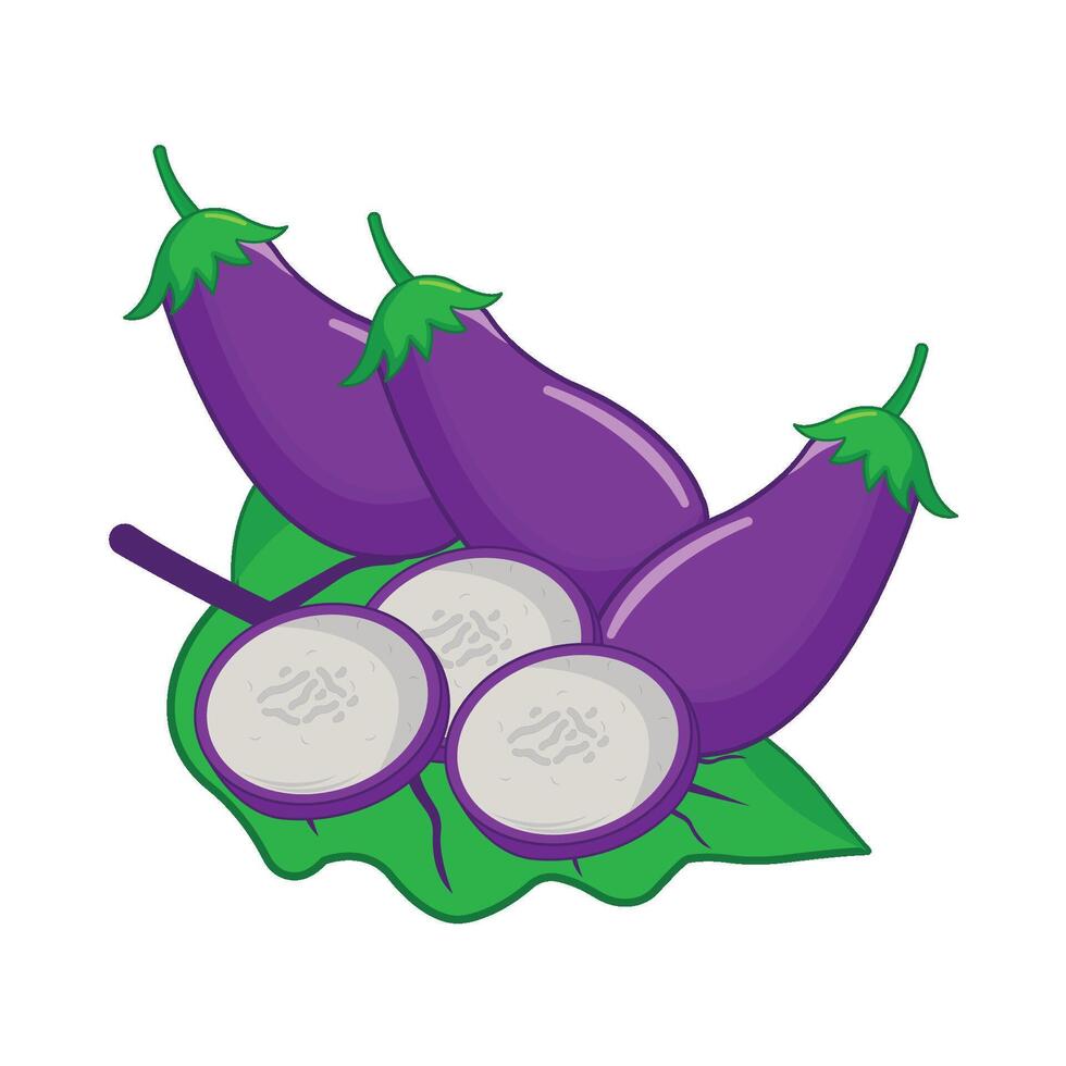 eggplant with eggplant slice illustration vector