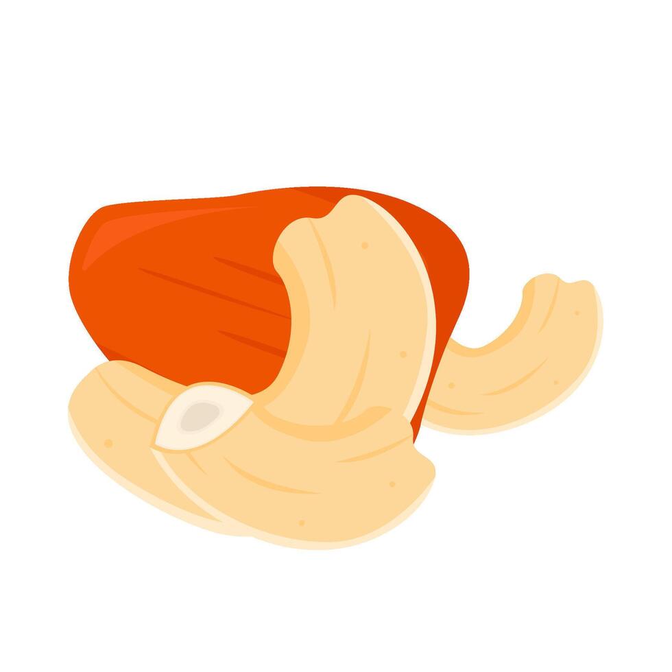cashew fruit with cashew nuts illustration vector