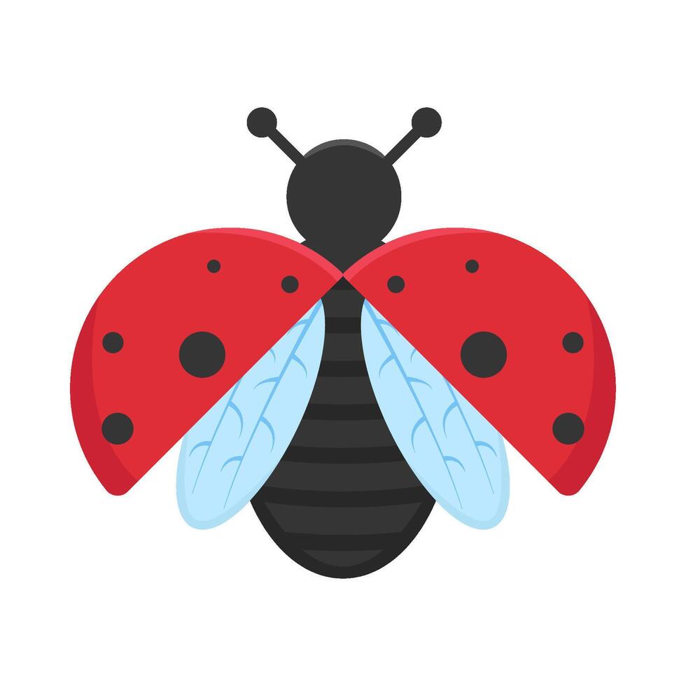 Illustration of ladybug vector