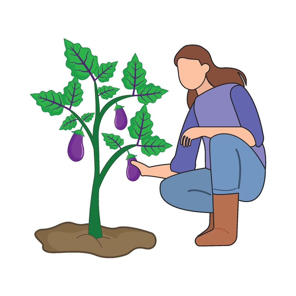 gardener eggplant with eggplant plant  illustration vector